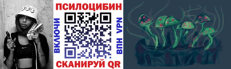 Псилоцибиновые грибы Psilocybe  Перевоз 